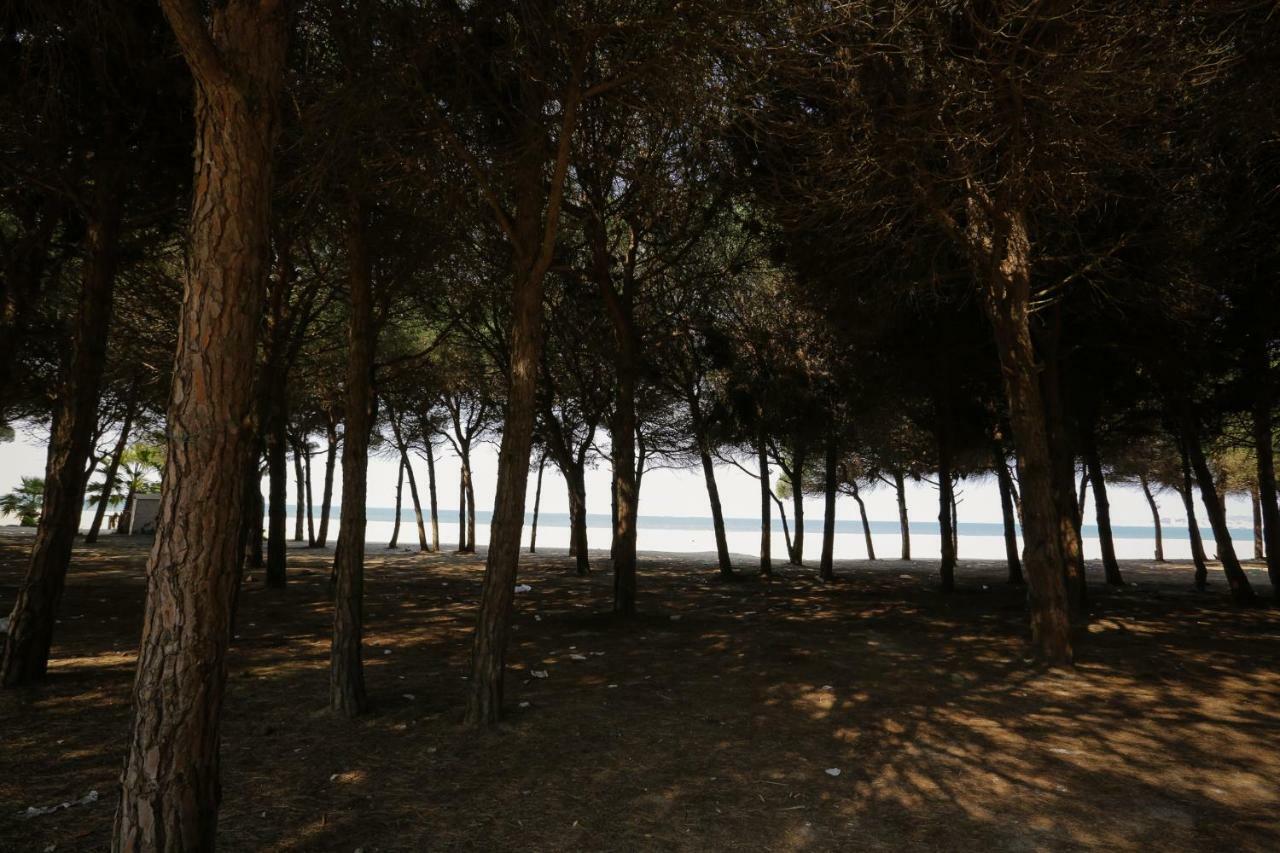 Pine-Tree Apt W/ Private Garden 50 M From The Sea Golem  Eksteriør bilde